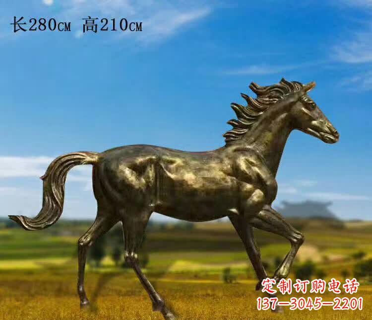 沧州新马之精髓