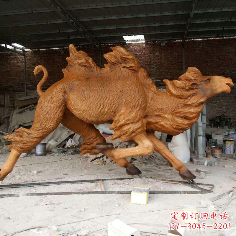 沧州活力四射的骆驼