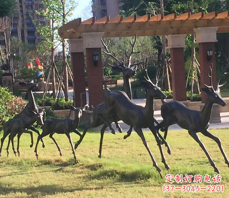 沧州“梅花鹿传递自由与美好”