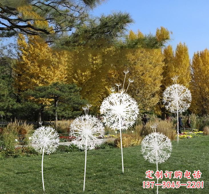 沧州不锈钢蒲公英景观雕塑艺术与美的完美结合