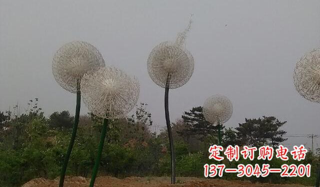 沧州蒲公英的绚丽多彩