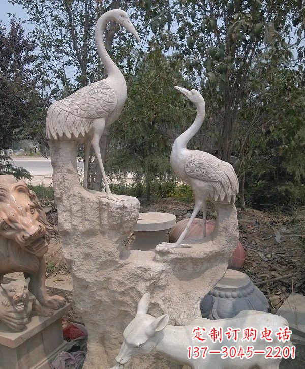 沧州静谧优雅的丹顶鹤雕塑