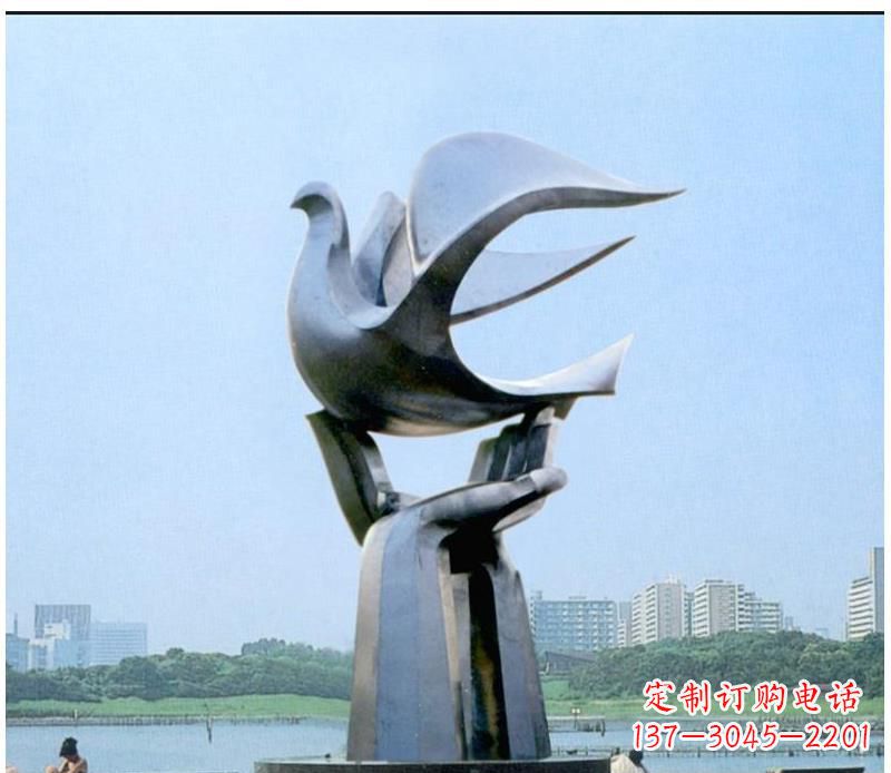 沧州静谧之鸽,传递和平象征~