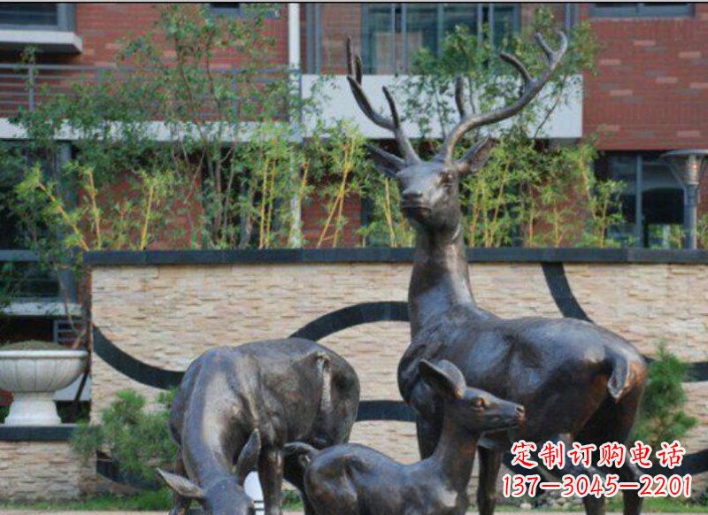 沧州古雅优雅的梅花鹿铜雕