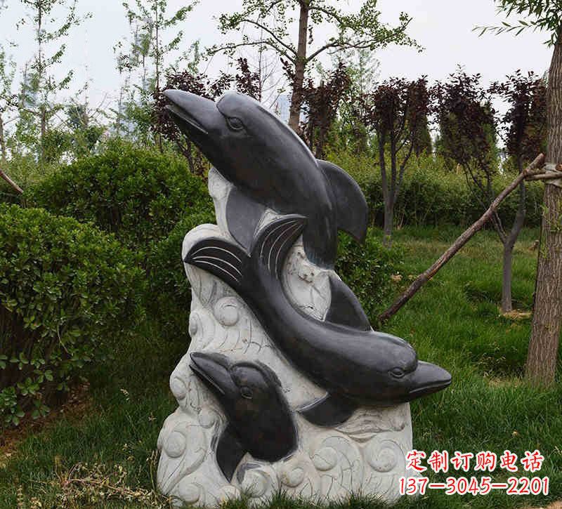 沧州特色海豚雕塑,带您体验最真实的海洋梦想