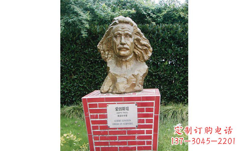 沧州西方名人爱因斯坦头像铜雕