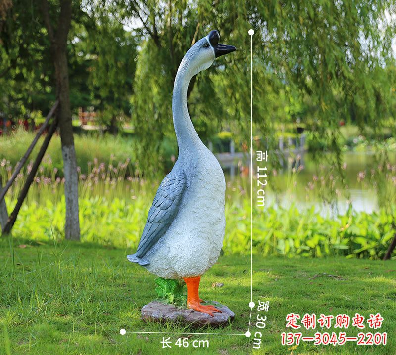 沧州站立立脖灰色天鹅